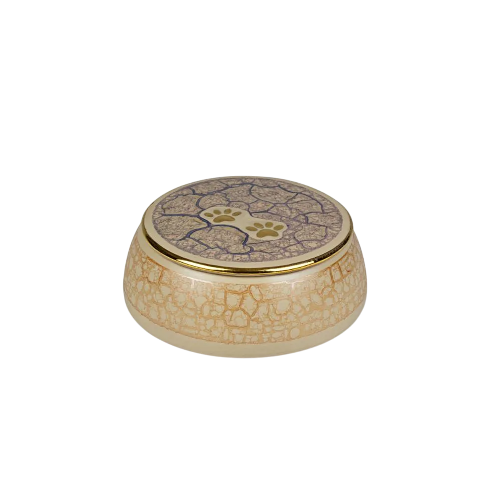 scatola crema impronta A-Photoroom Tazón decorativo para mascotas con diseño de huellas, color beige y detalles dorados. Ideal para el hogar de amantes de los animales.