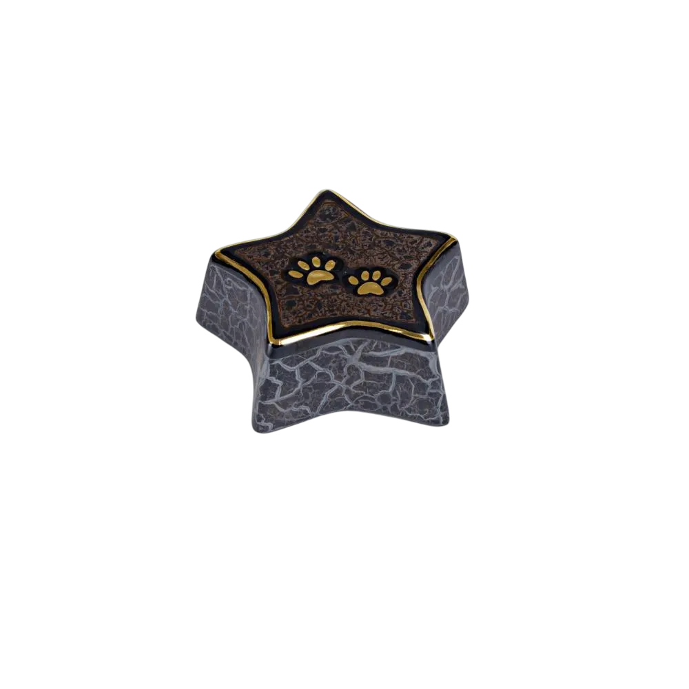 stella marmo nero A-Photoroom Estrella decorativa con diseño de huellas de patas en la parte superior, con detalles dorados y base de color gris. Ideal para homenajear a mascotas.