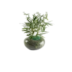 Planta de bambú en maceta de piedra verde, ideal para decoración de interiores y purificación del aire.