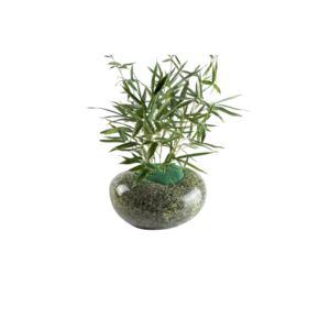 Planta de bambú en maceta de piedra verde, ideal para decoración de interiores y purificación del aire.